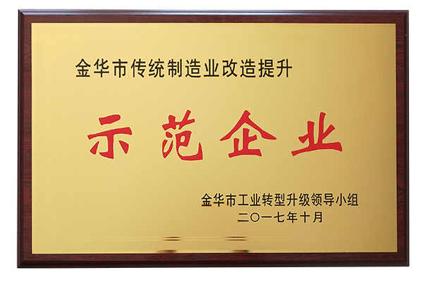 2017年金華市傳統(tǒng)制造業(yè)改造提升示范企業(yè)